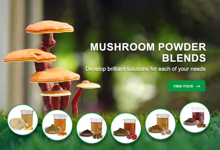 MUSHROOM POWDER BLENDS Develop brilliant solutions for each of your needs